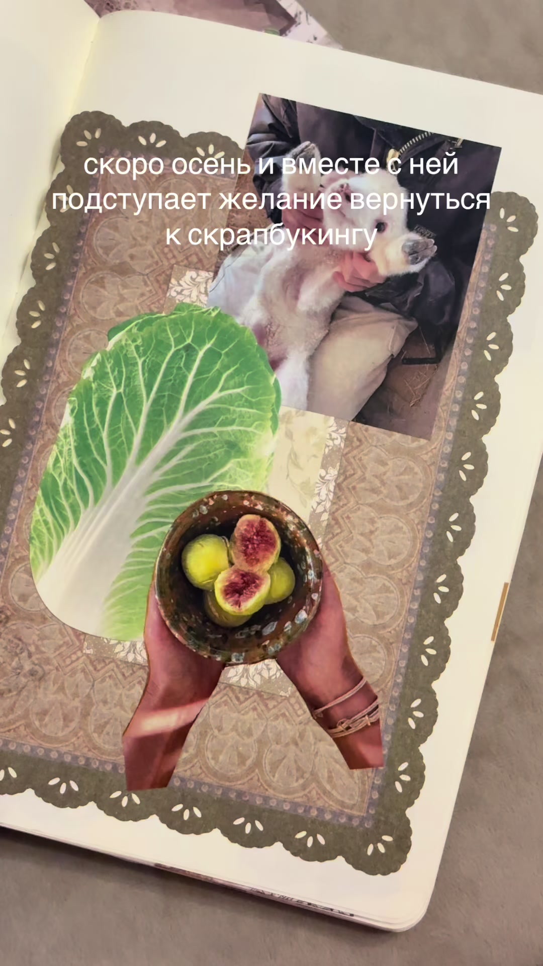 @вик тор овна