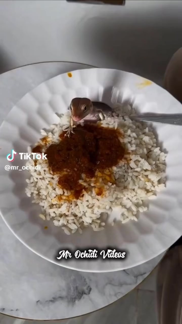 @JUNIOR lukusa