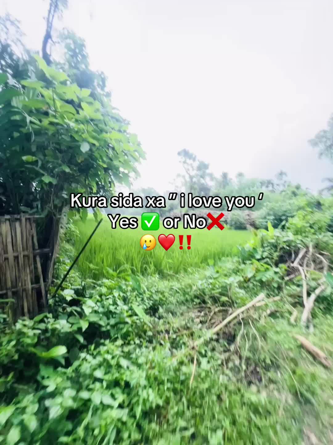 @RIZAN⁉️