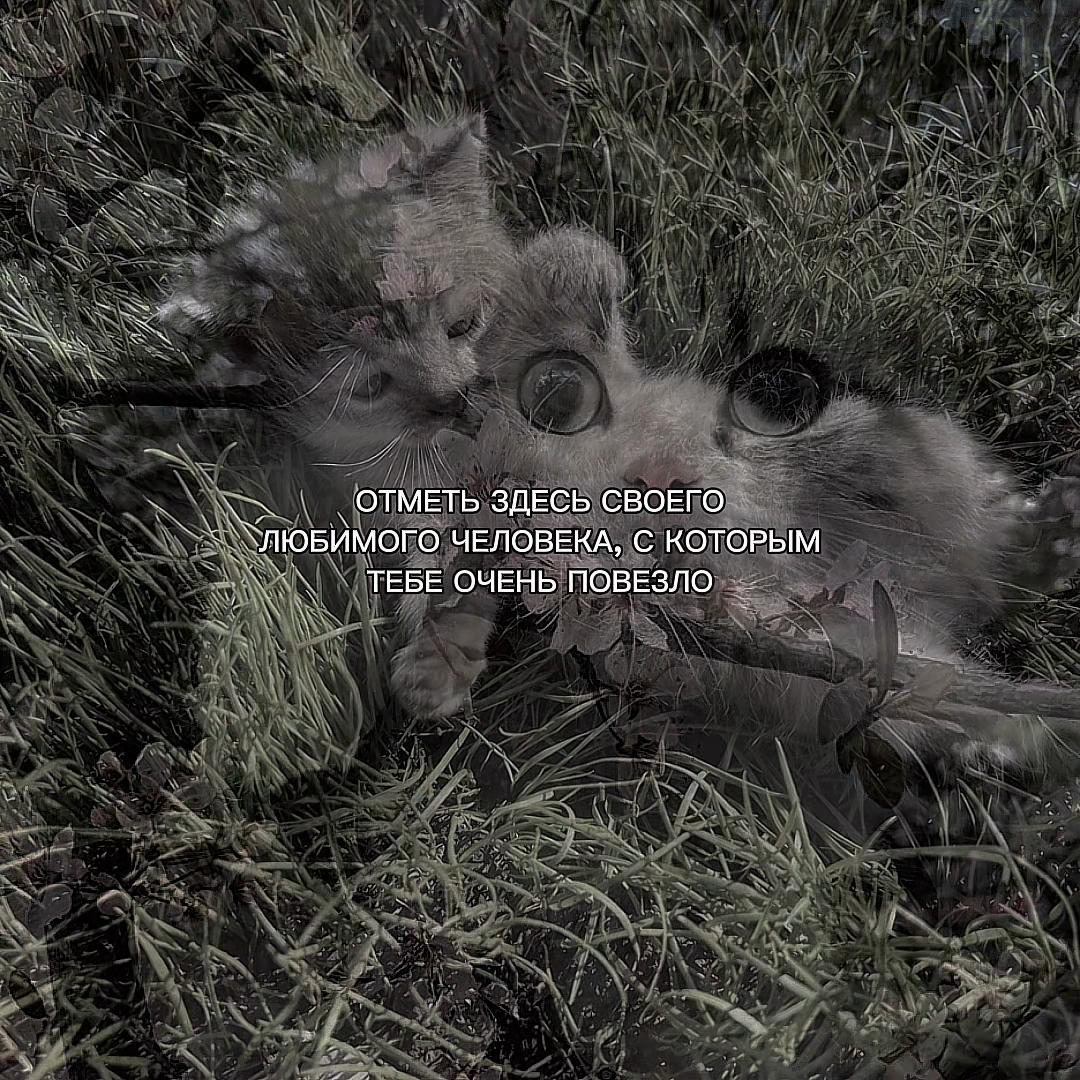 @ХХИКА