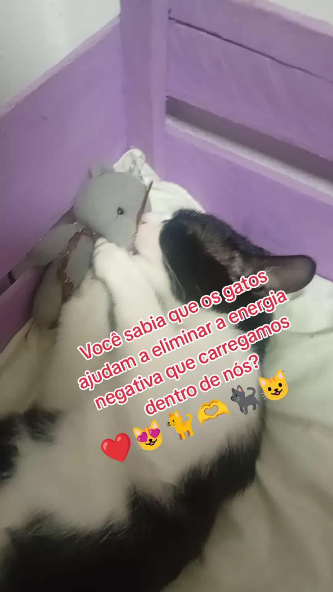 @Tarik🇲🇦🇧🇷