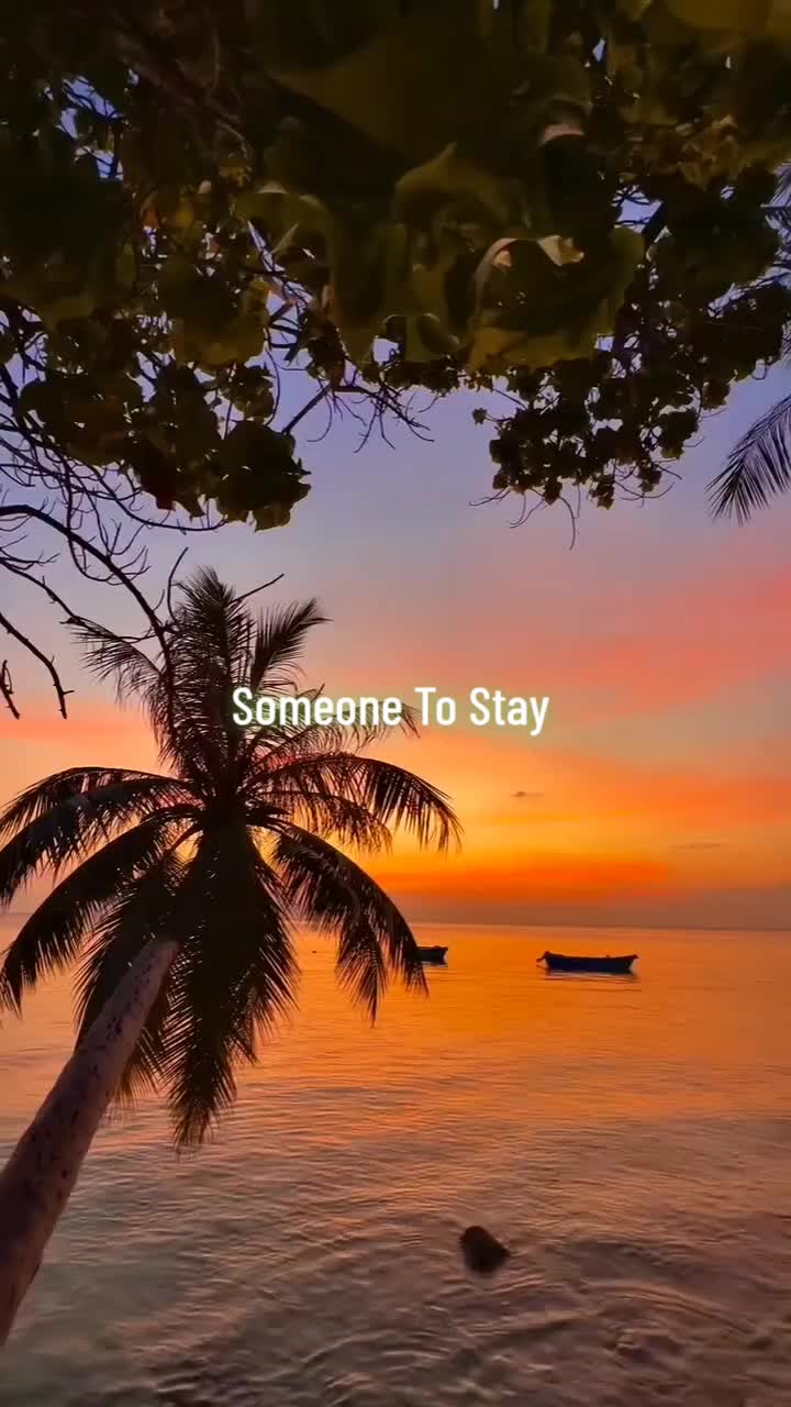 @Mr TikTok