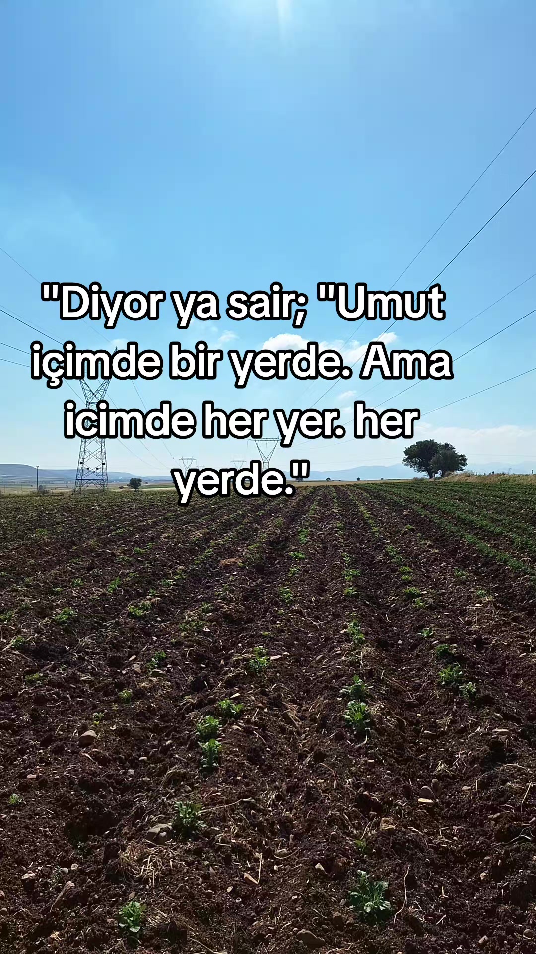 @Bet&uuml;l Halil sağ