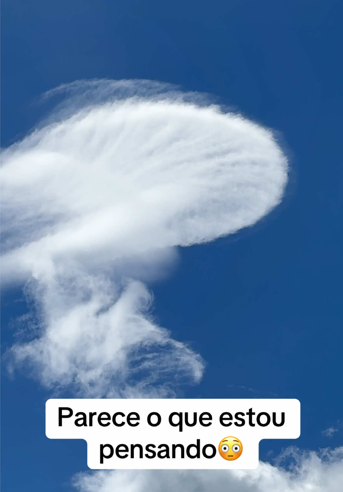 @Raylan som