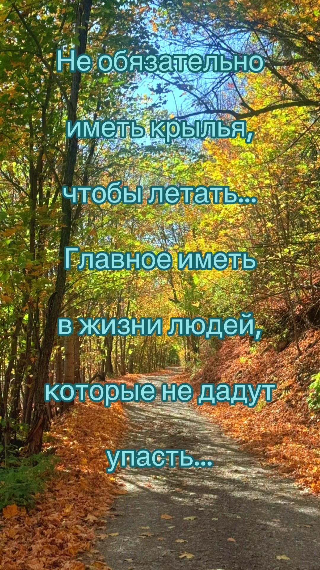 @Елена