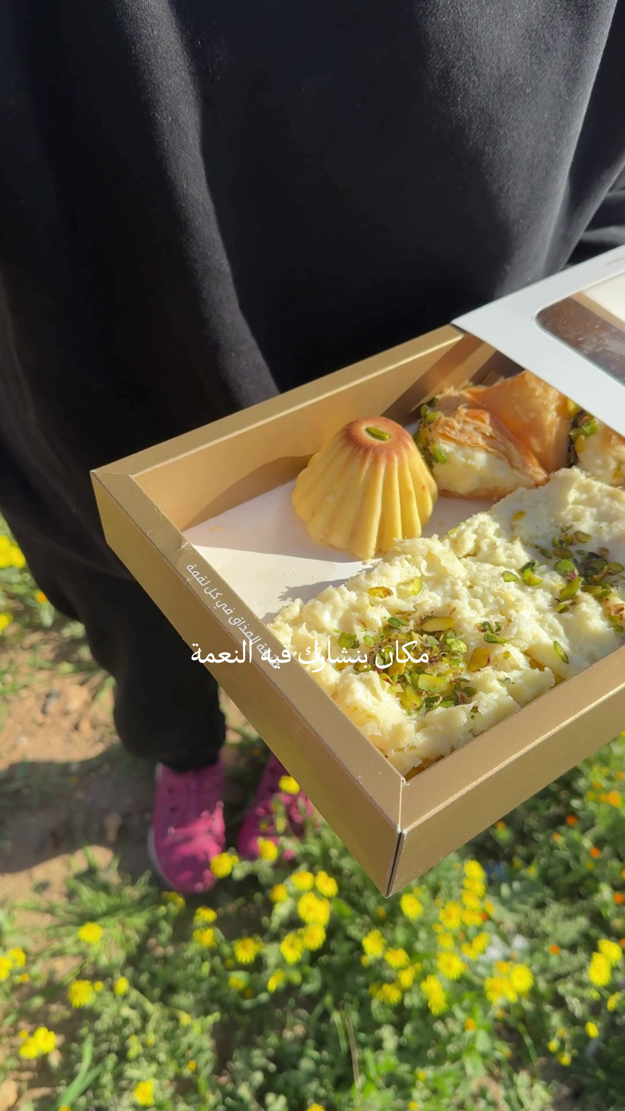 @Amman Spots