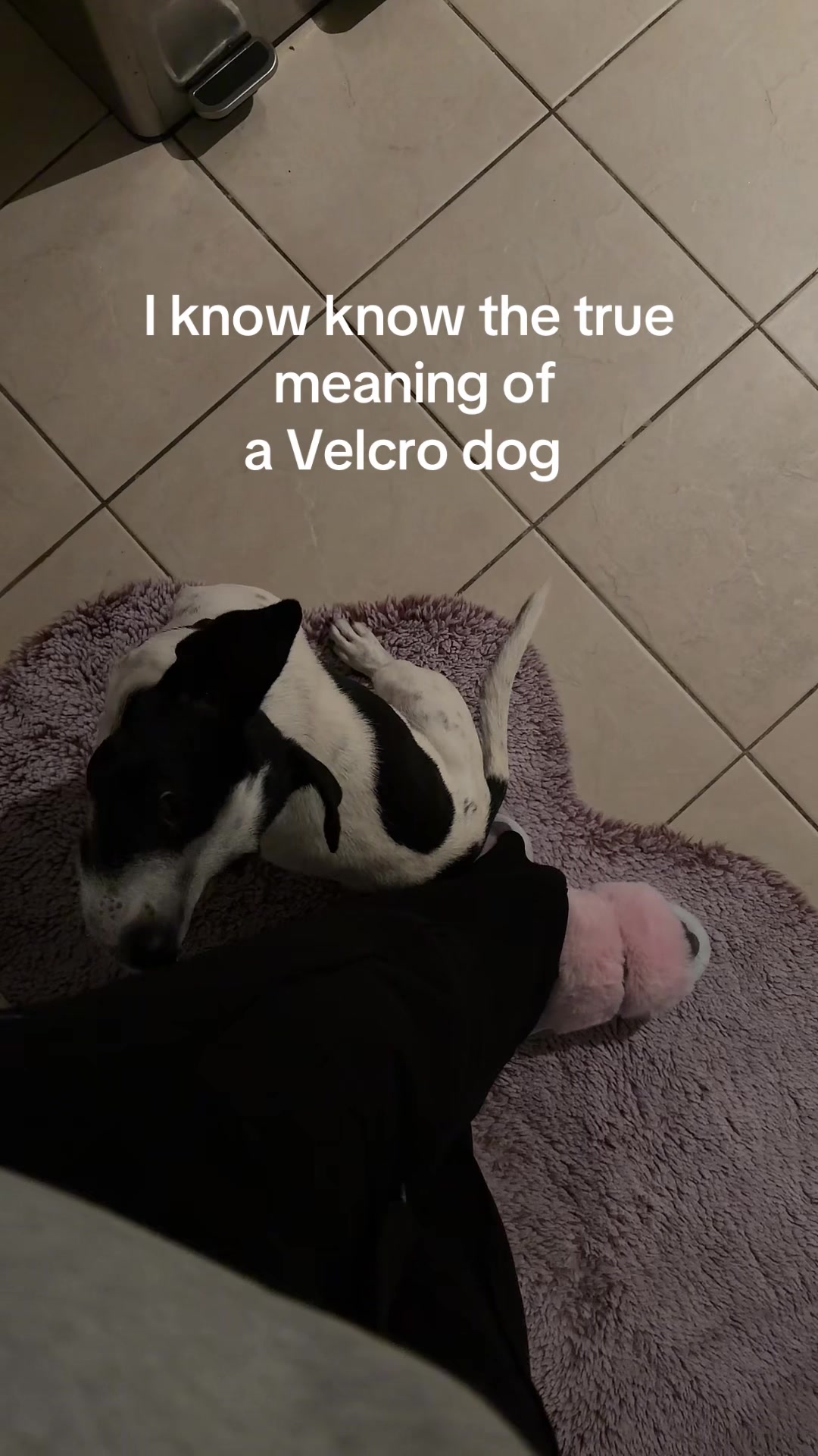 @Stella