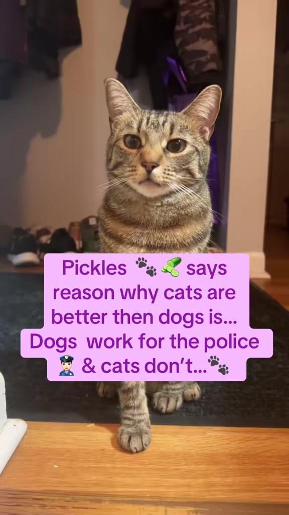 @Gypsy_pickles&leo