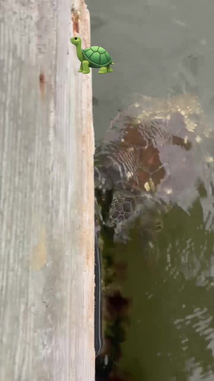 @BeaufortSC_Bait