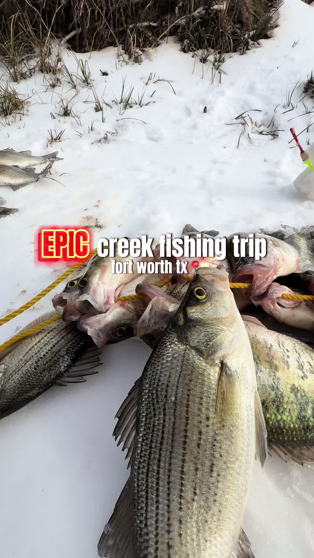 @RiverRat.fwtx🎣