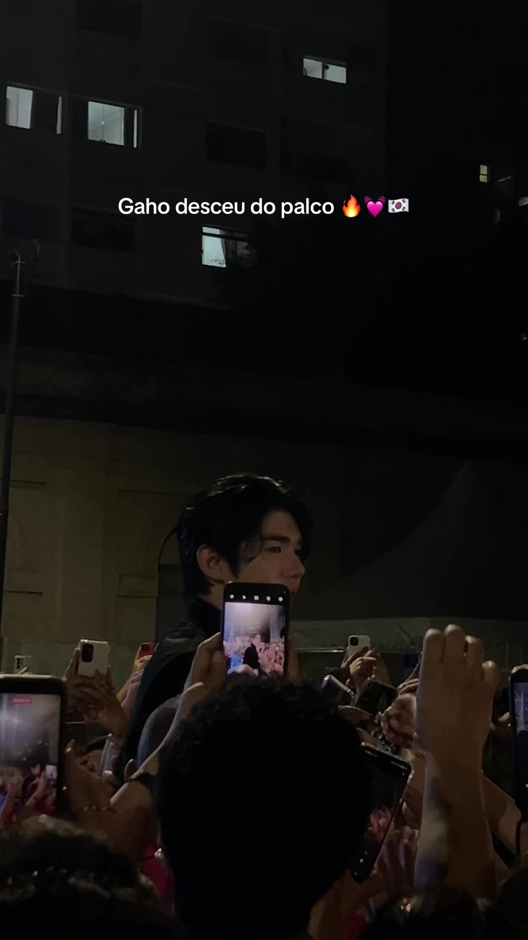 @thamifernandess