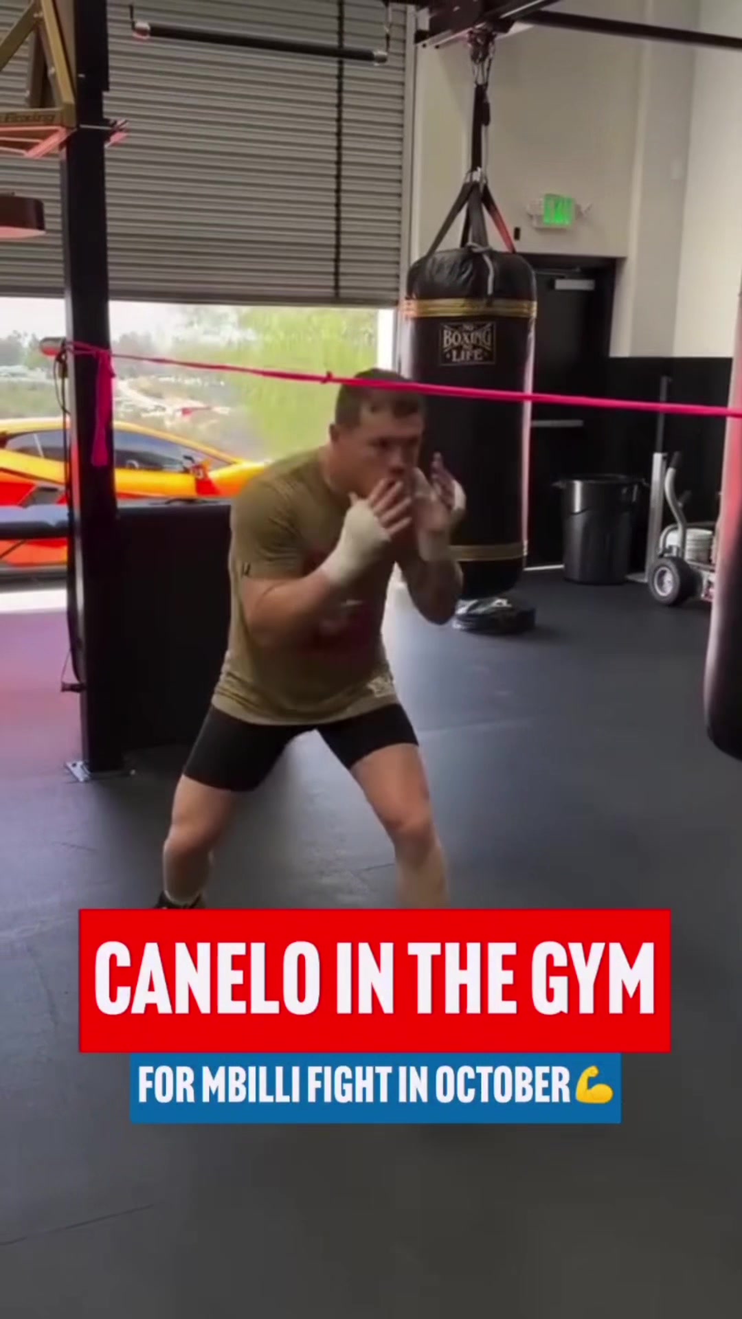 @ringmagazine