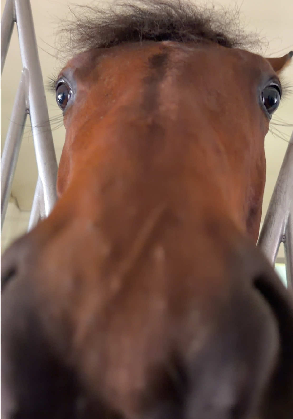 @racingdubai