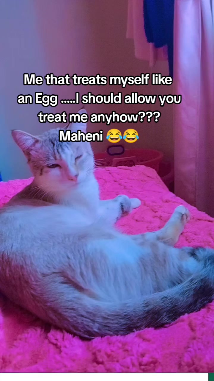 @it's eve๐ฆ๐ฆ๐