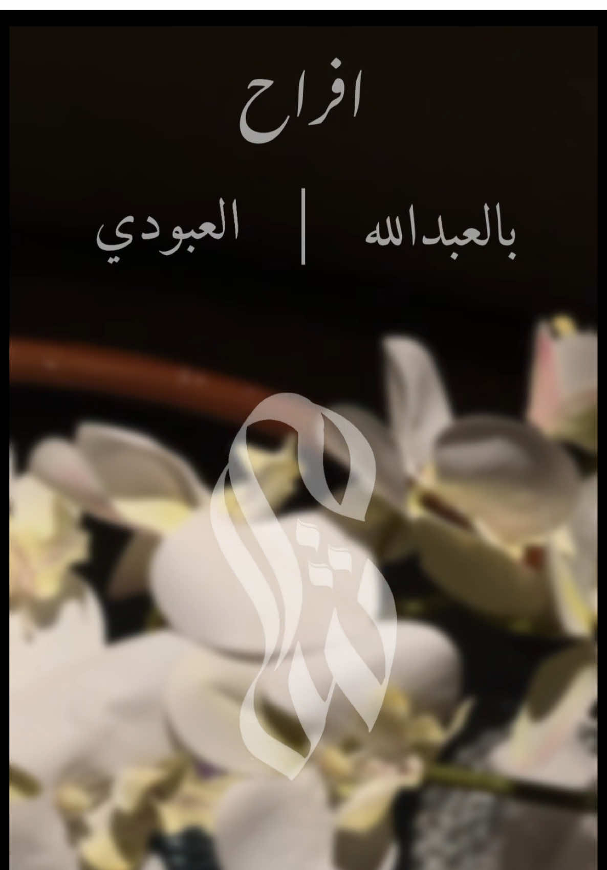 @مصوره جوال | تصوير ملكي👑
