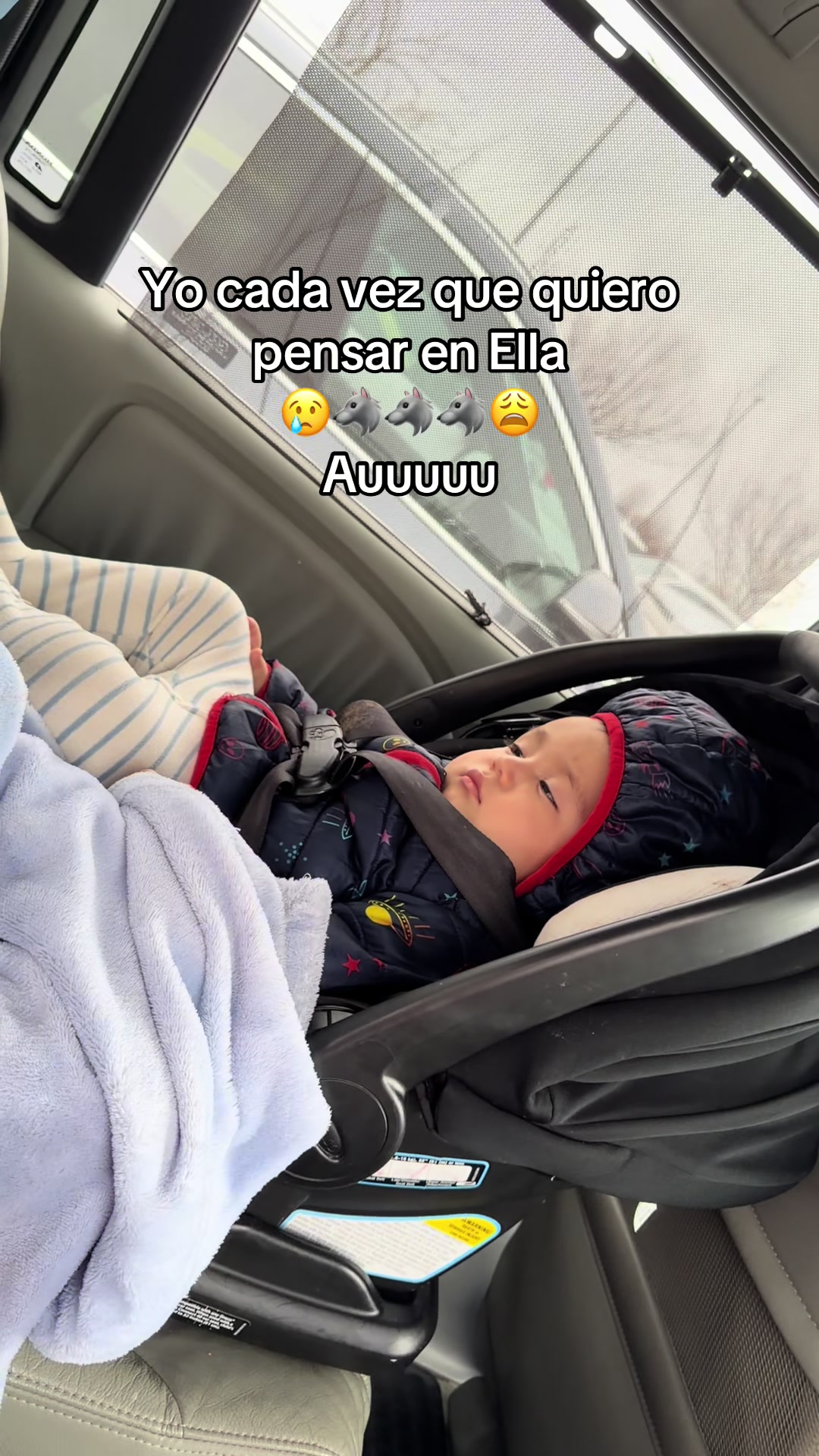 @Lilbear_0316