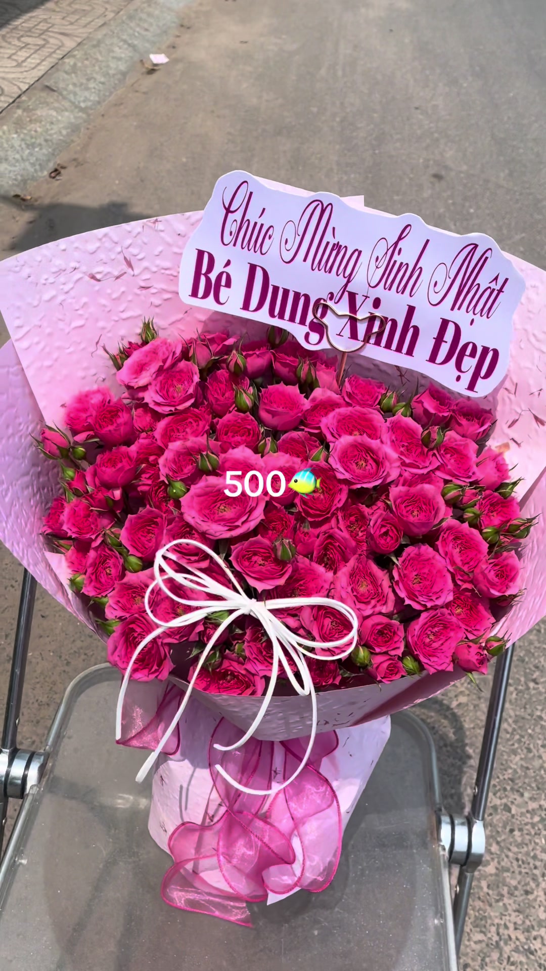 @Shop hoa MIMOSA TÂY NINH CŨ
