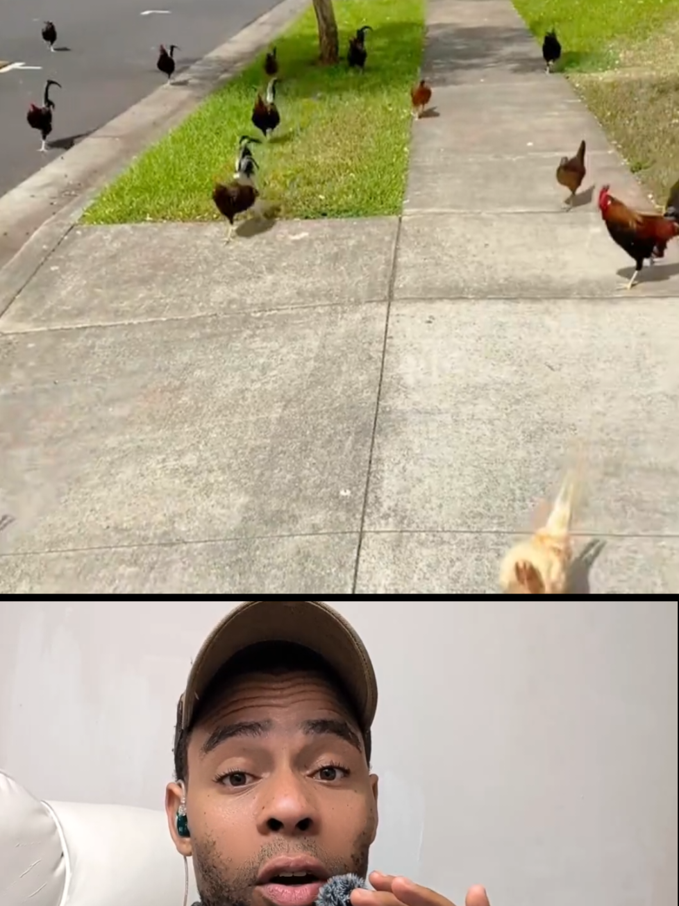 @JEFF JEUDY🧢