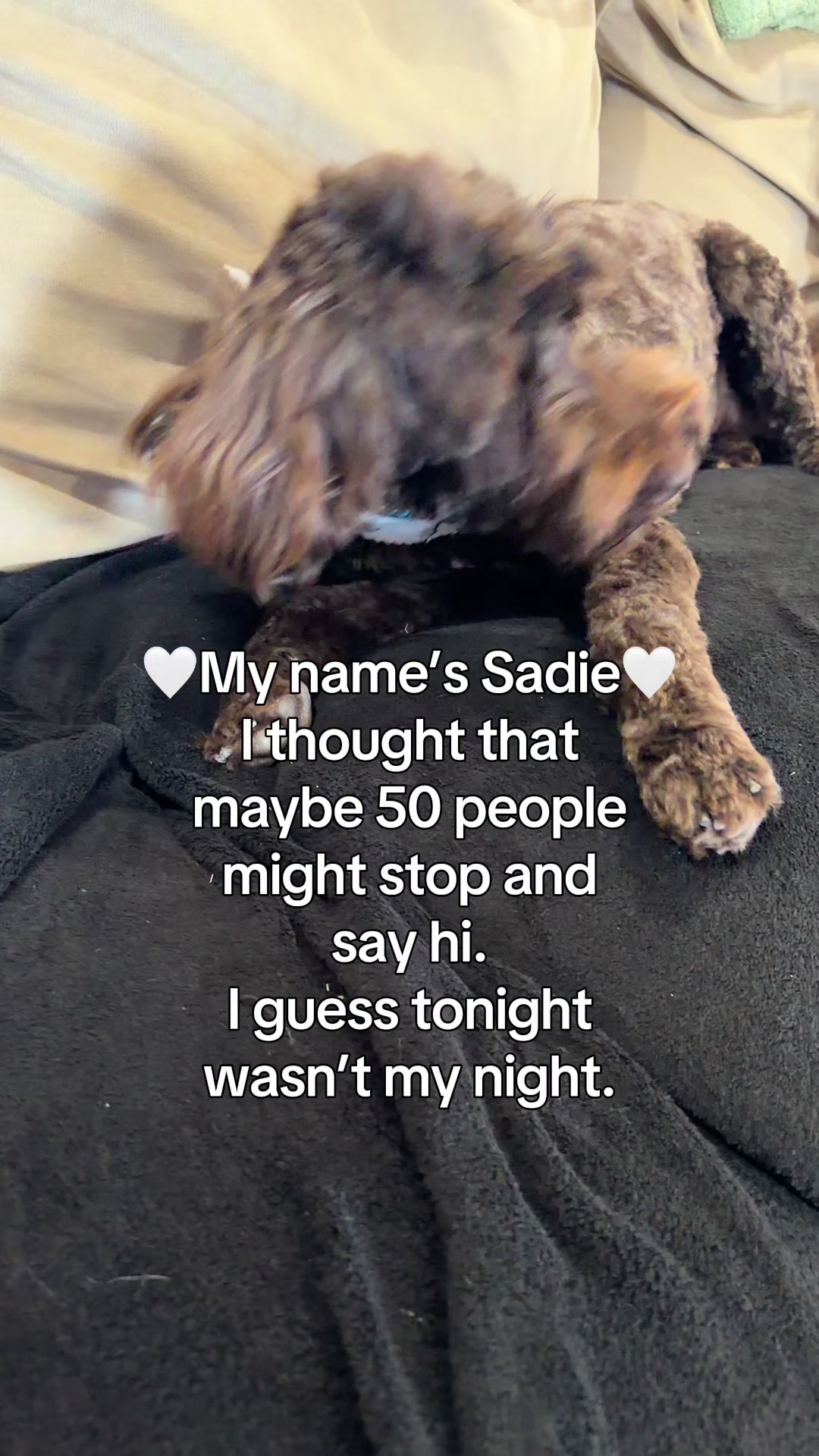 @Sadie the Doodle