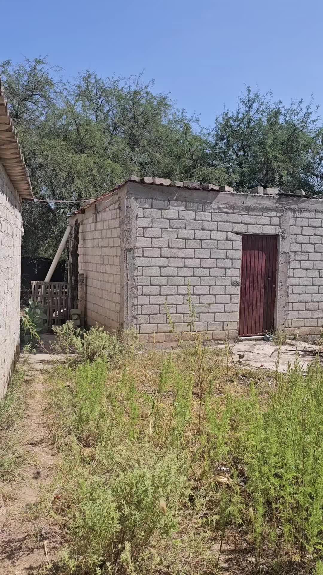 @El minimo del Tiktok