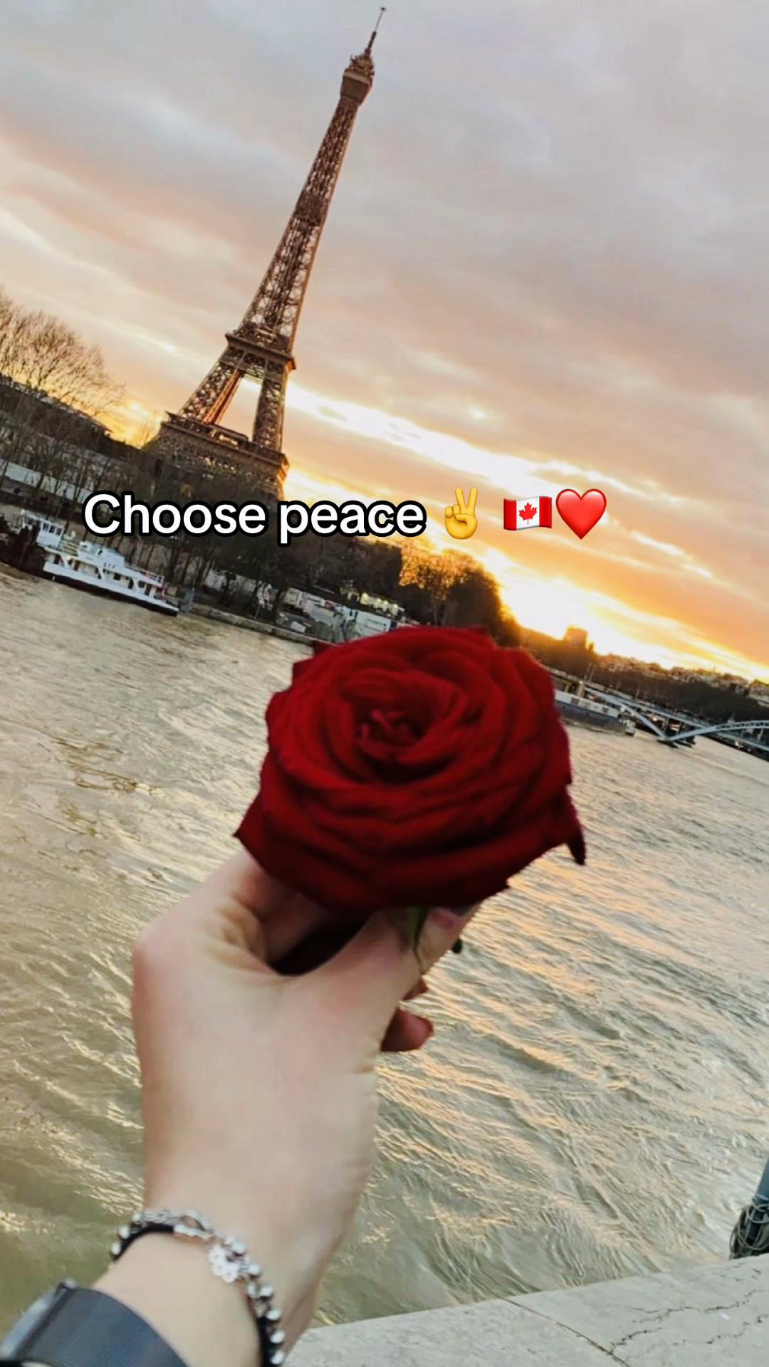 @Roya Kakar