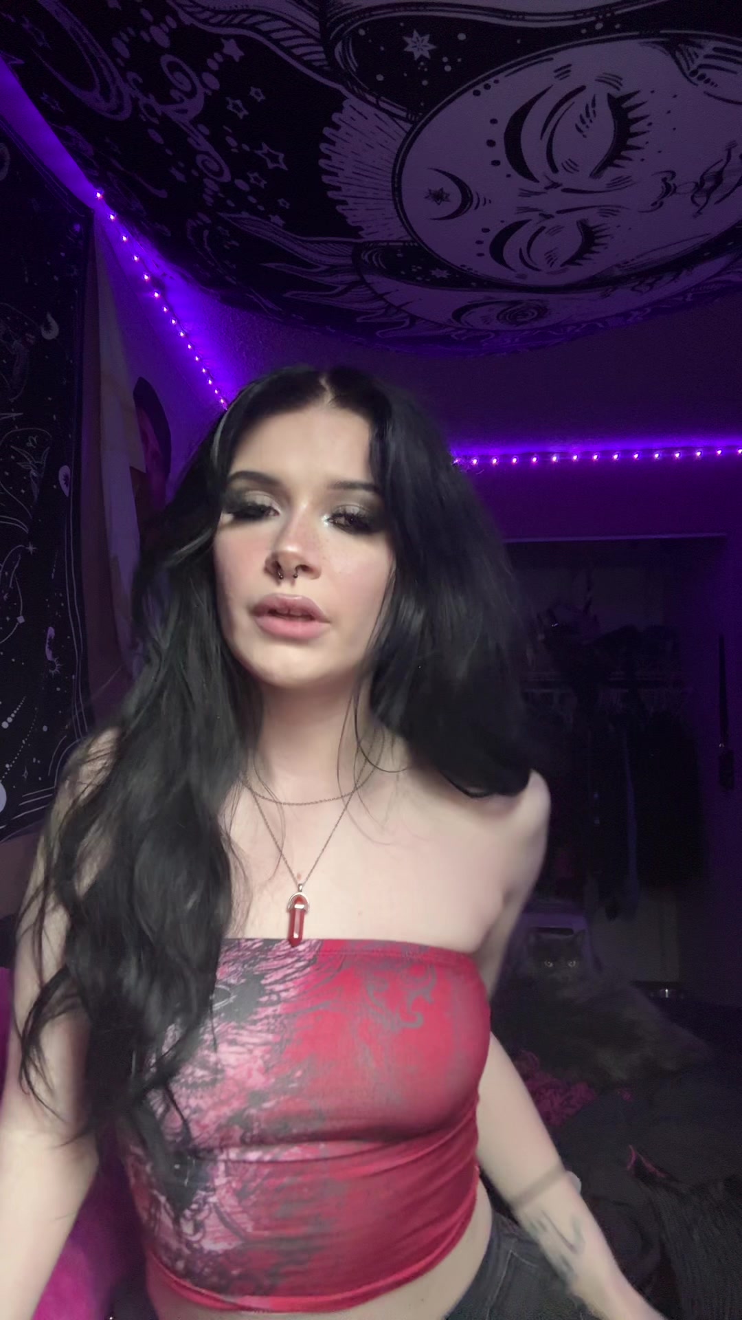 @vamp