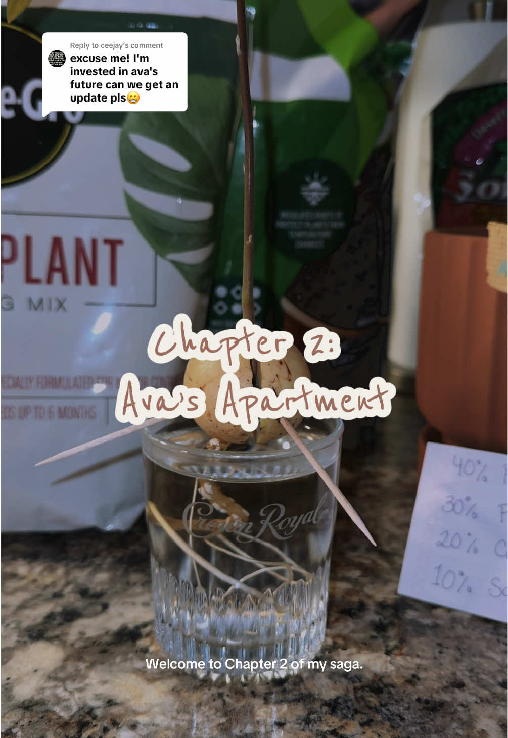 @Niki P - Ava’s Mom 🥑🌱