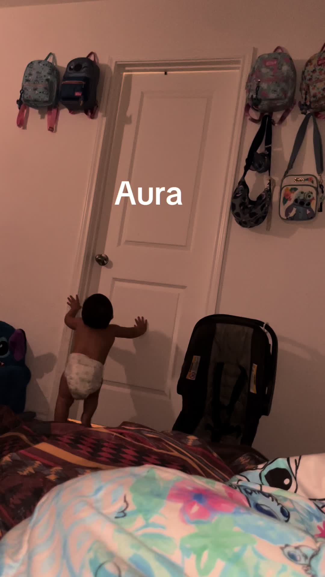 @Mula