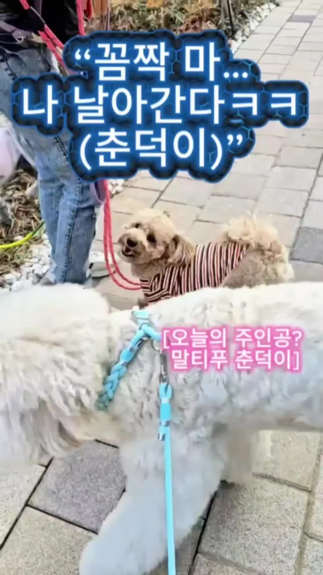 @백서현218