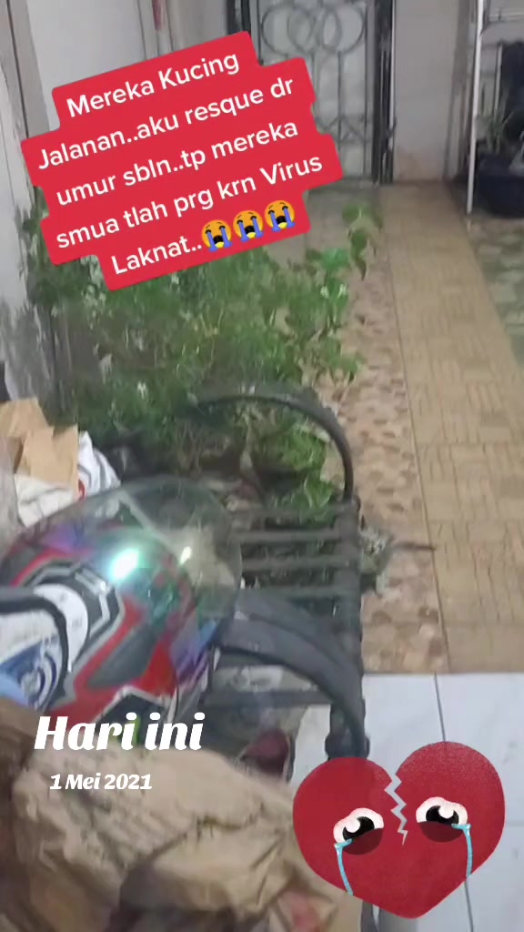 @Wingid Sugiarti