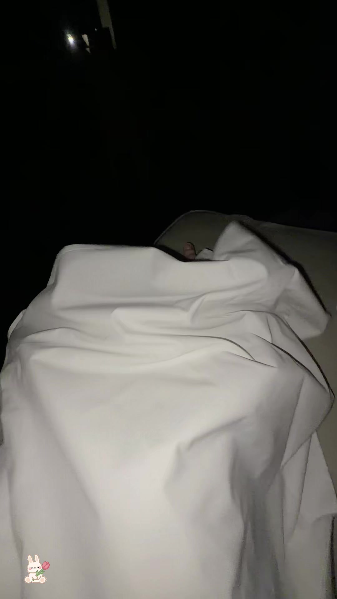 @Showcaca