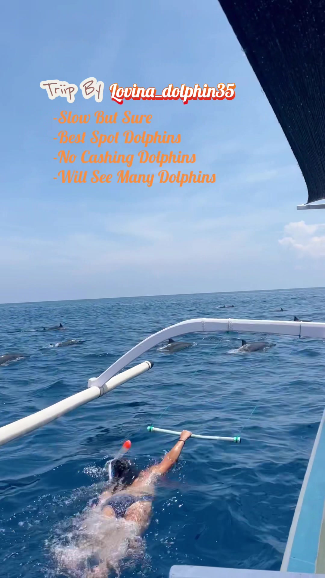 @𝙇𝙤𝙫𝙞𝙣𝙖_𝙙𝙤𝙡𝙥𝙝𝙞𝙣35