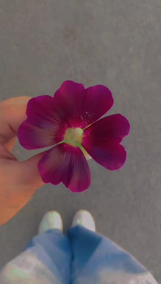 @Matilda🌺