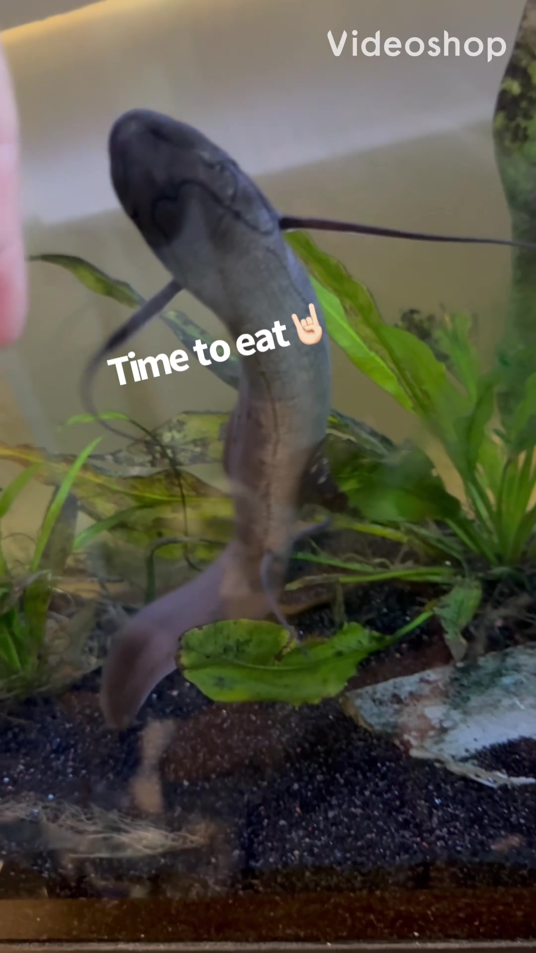 @fishdaddy2002