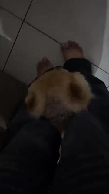@โฅ๏ธ๐ฒโ๐ฅ ๐ฒ๐๐๐กโ๏ธ