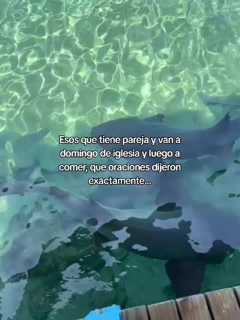 @MARITZA 🍁