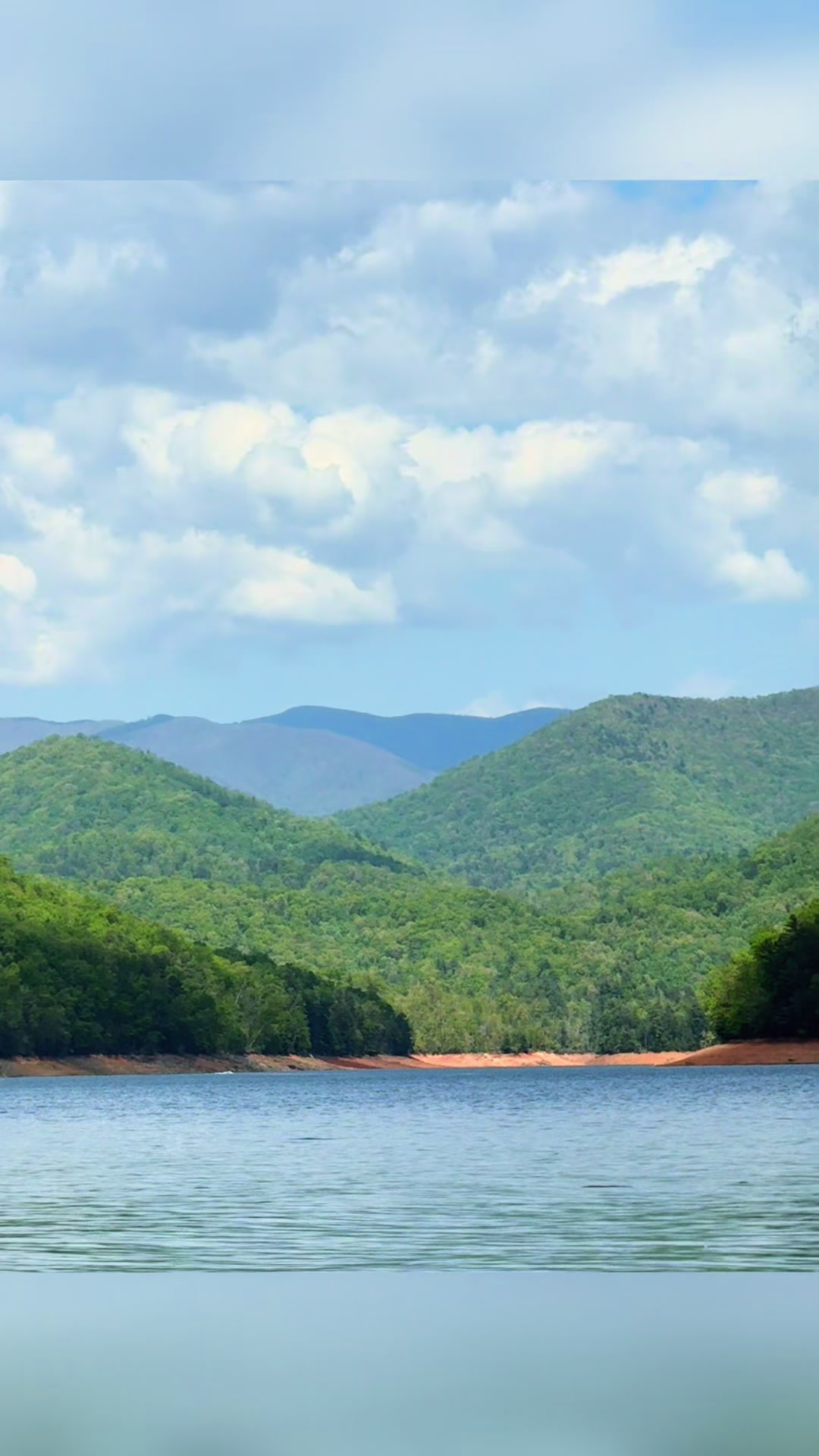 @🌳 🛶 🐊  SHARI 🥾🏔️