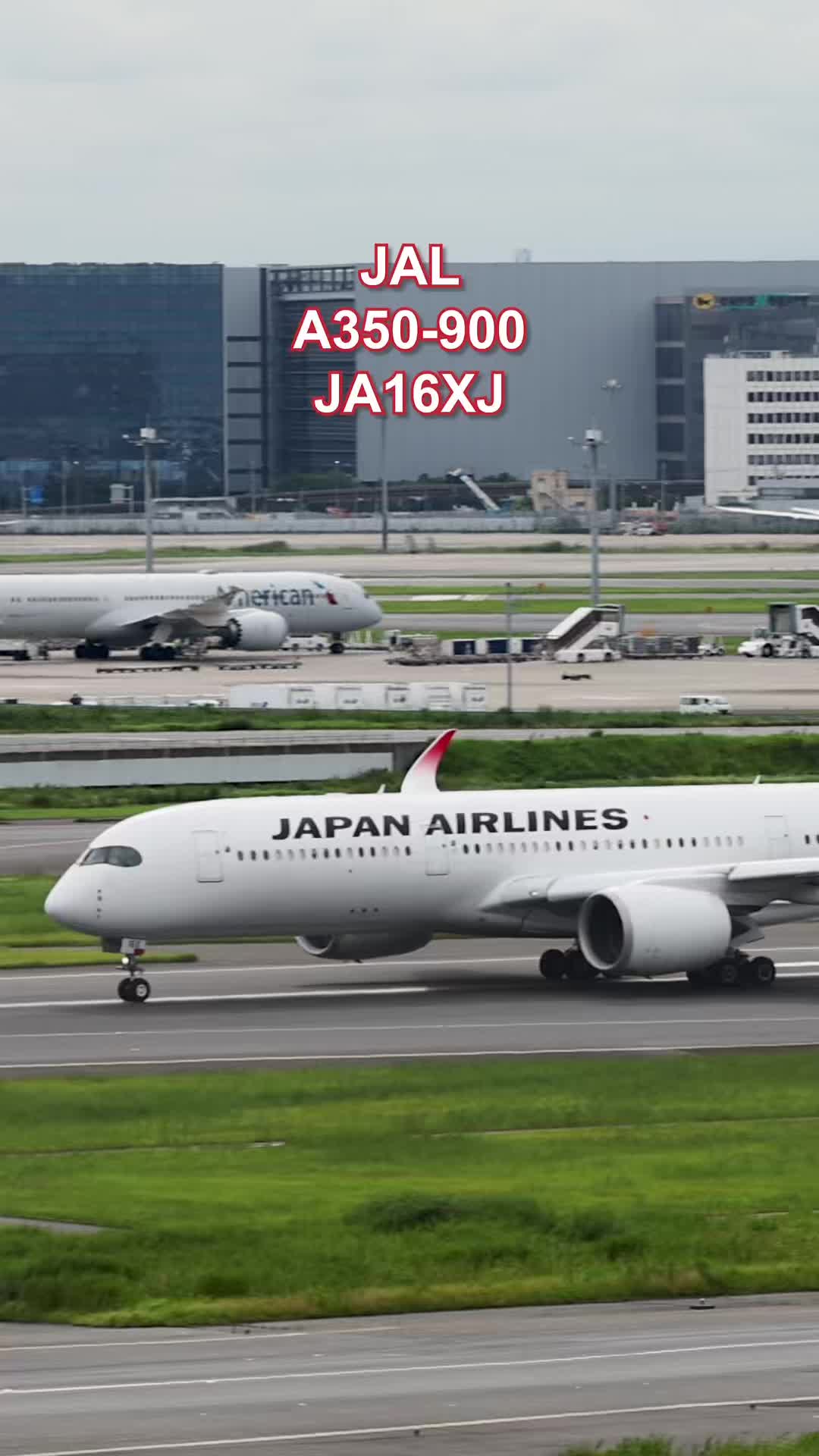 @Skyline だ〜はね|Haneda Airport ✈️