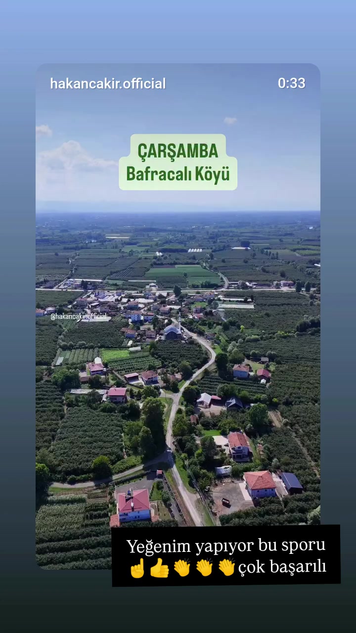 @aslaniçe