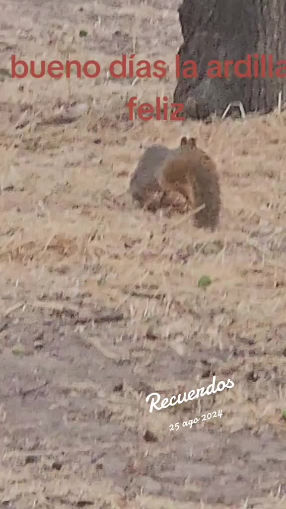 @alvarezcat