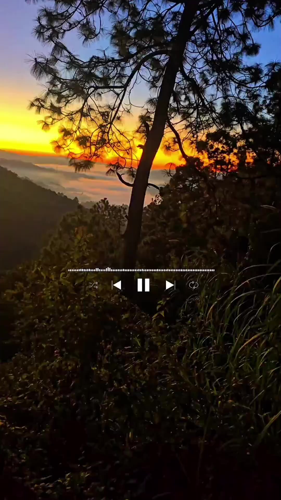 @🎧 𝙐𝘽𝙀𝙍 𝘿𝙑𝙅 🎼