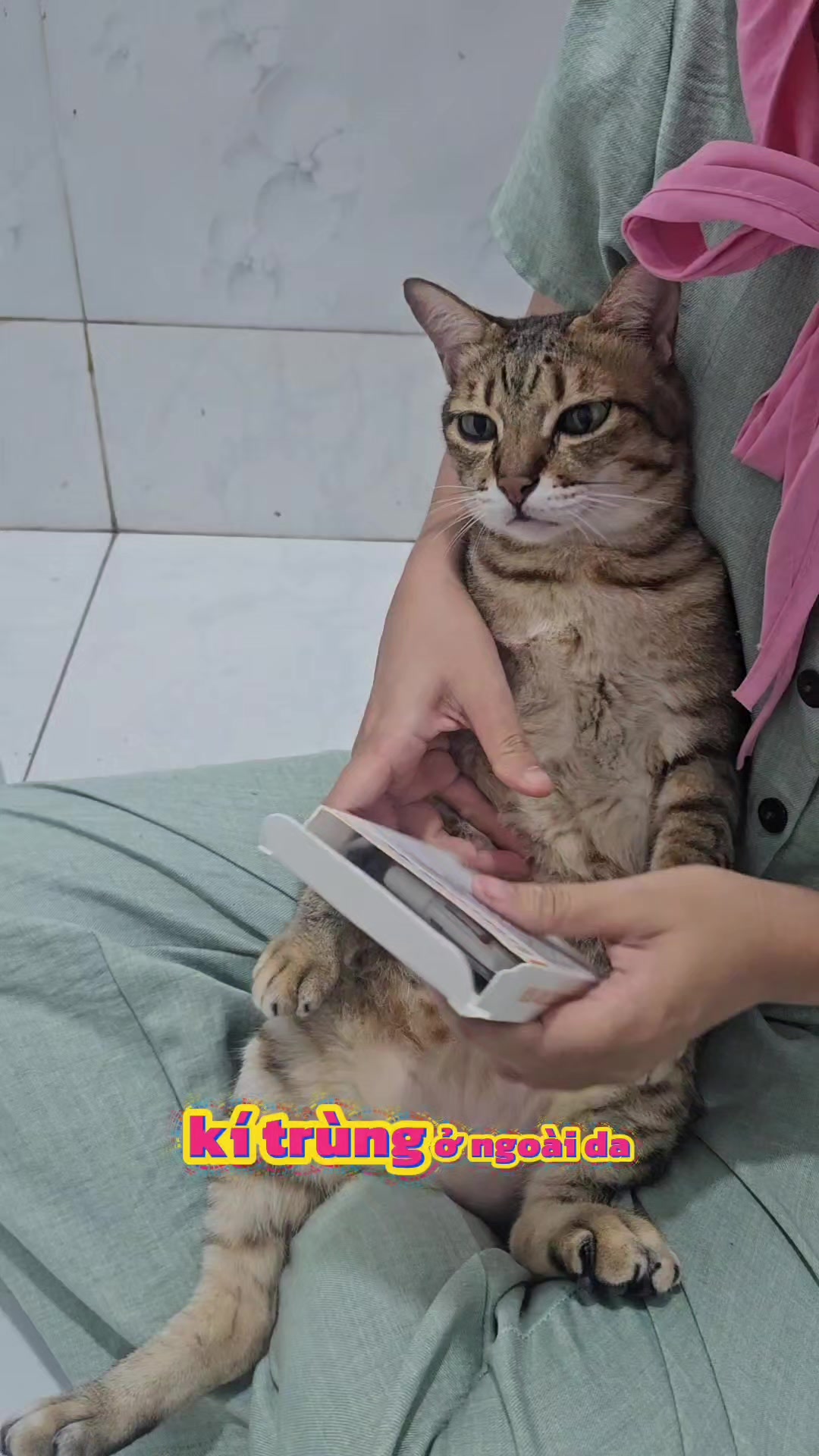 @Khế thúi