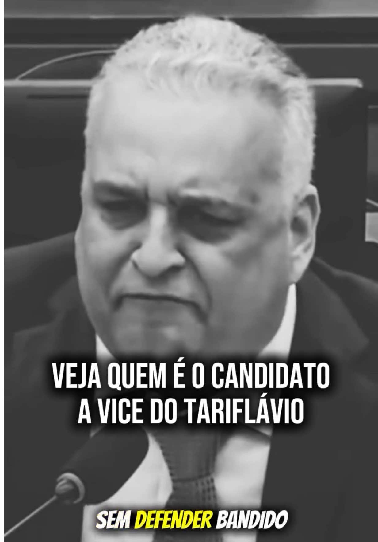 @Fernanda Melchionna