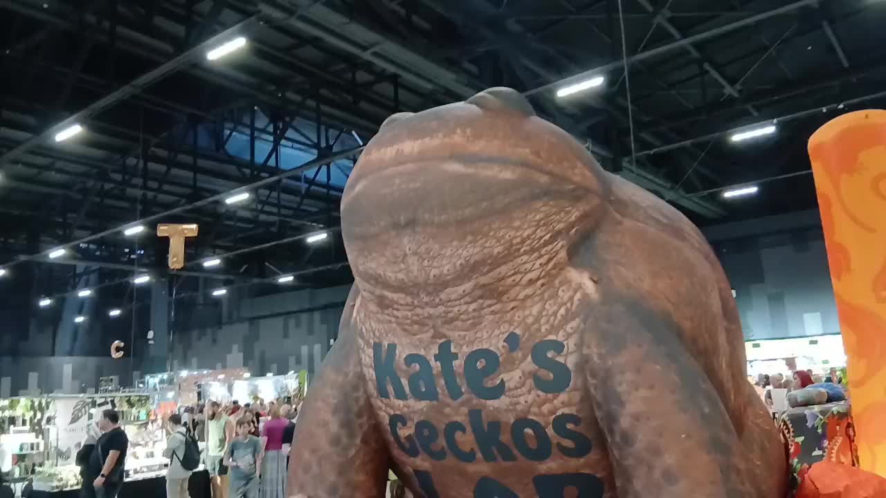 @Катя