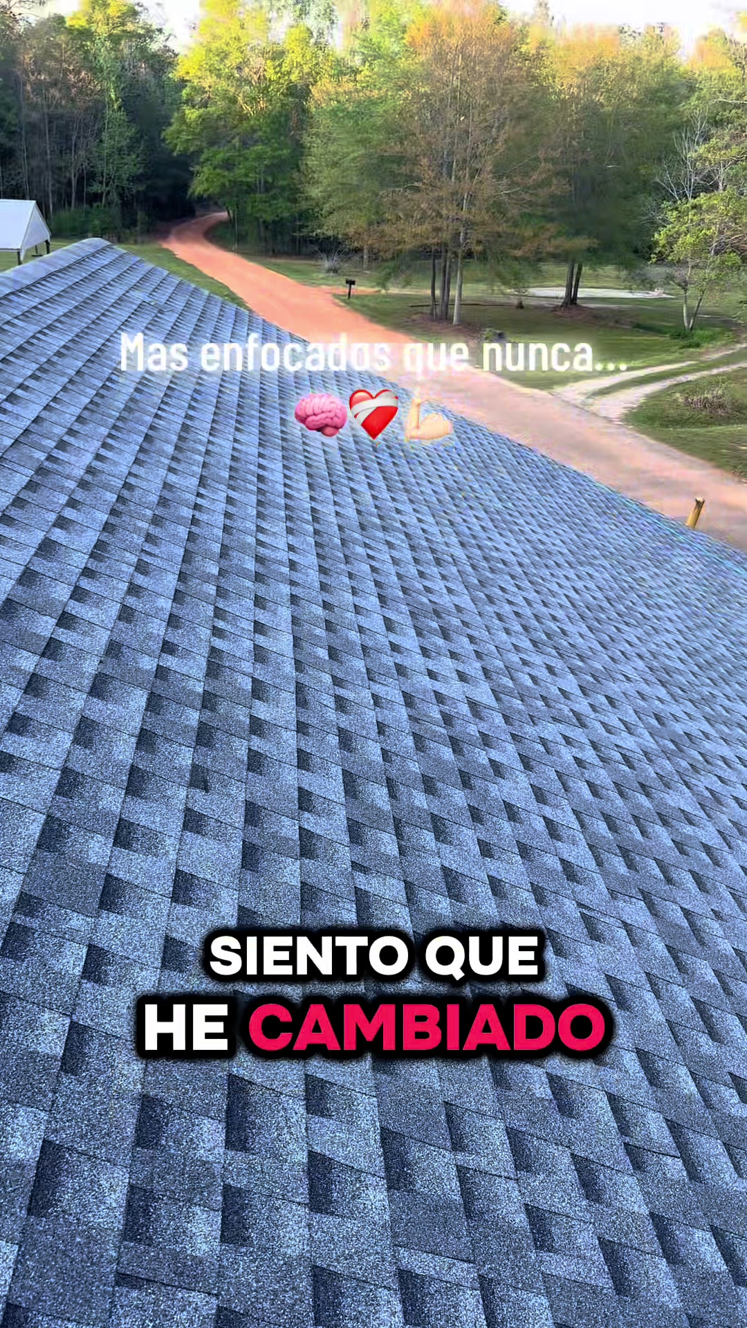 @🤠💚🌽✞ⒺⓁ ⒻⓁⒶⒸⓄ✞🇲🇽
