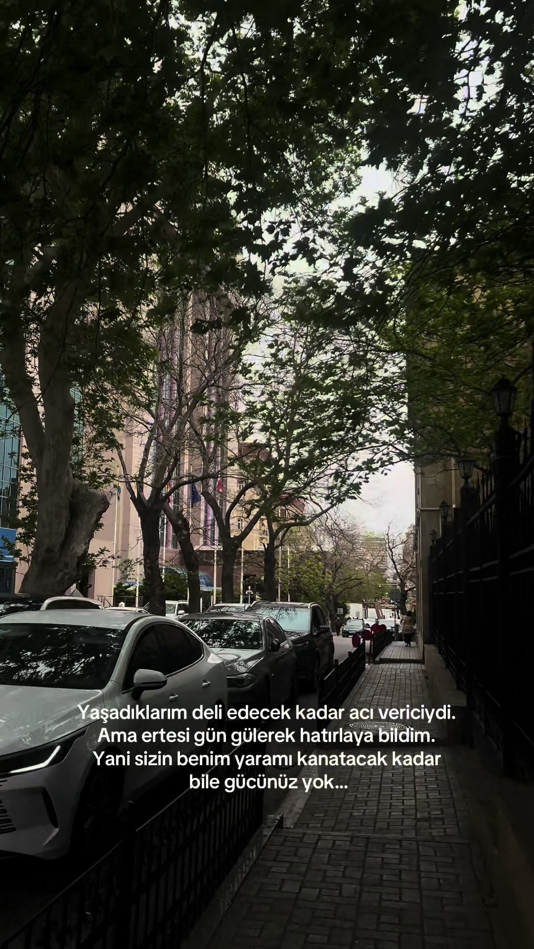 @İzabell🎀