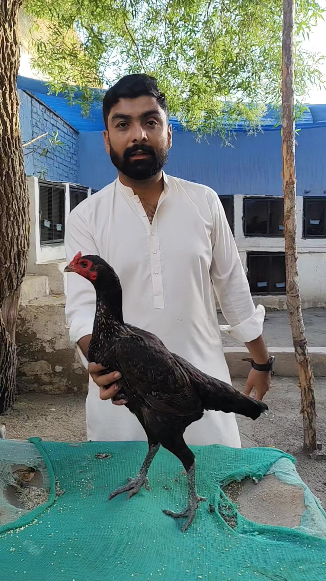 @Ahmad Bhatti