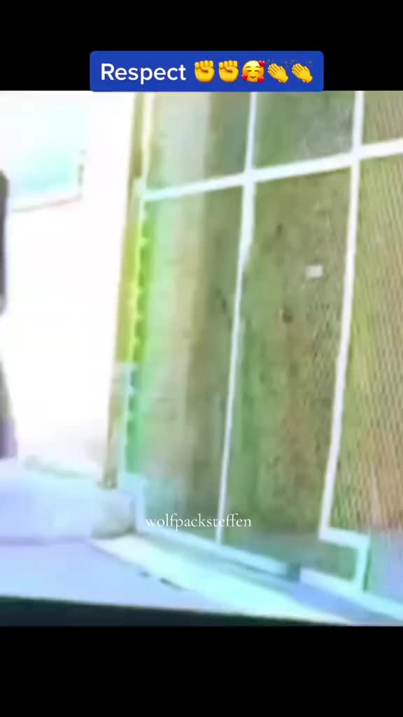 @wolfpacksteffen