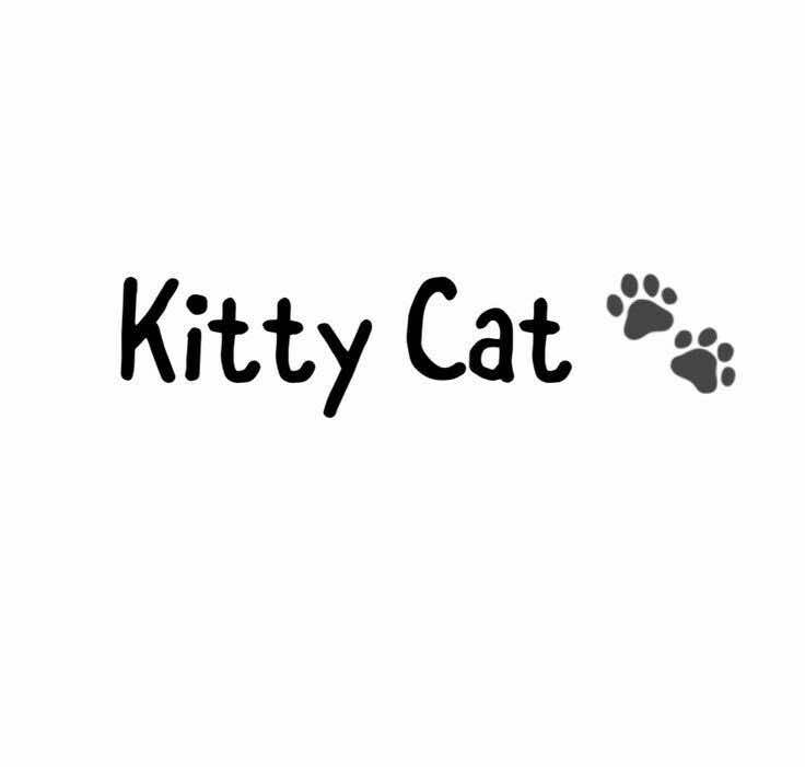 @sաҽҽԵy ⋆🐾°