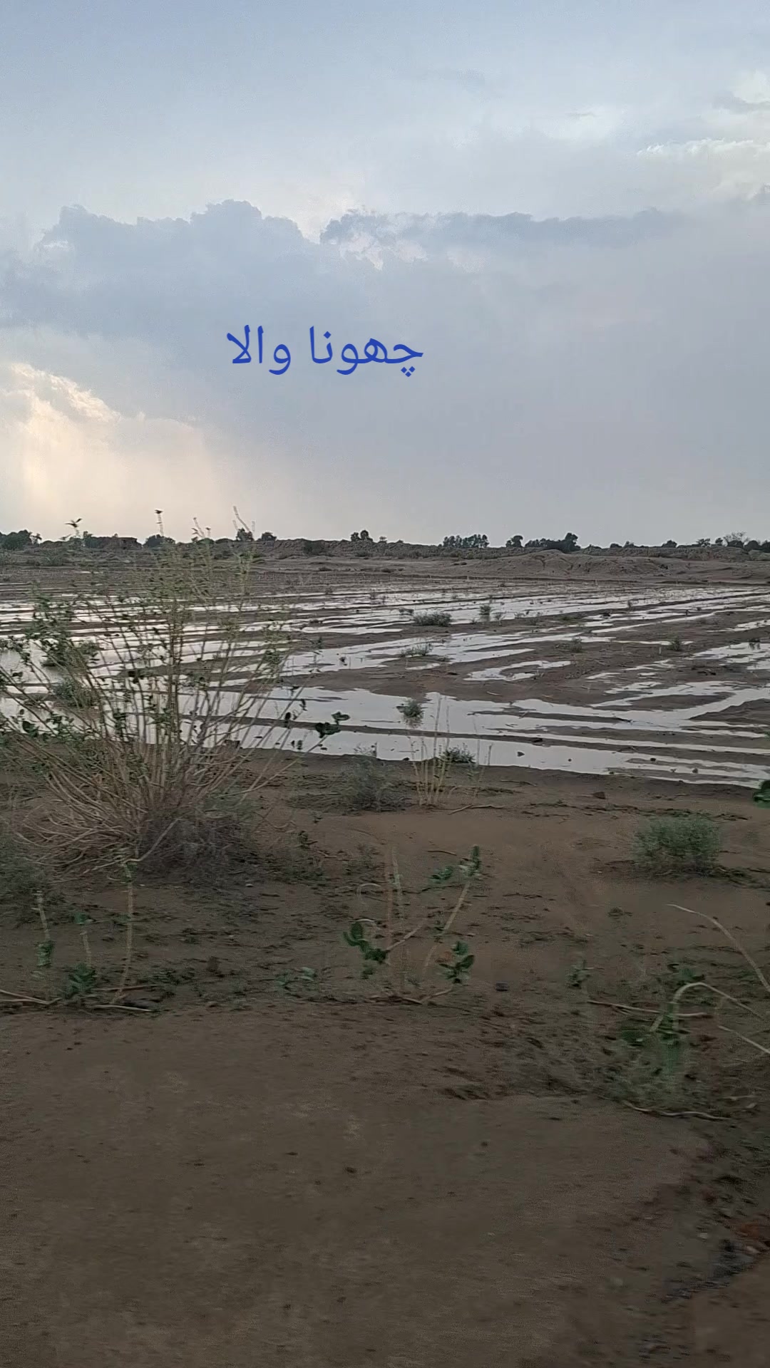 @رمضان راجڑ 294